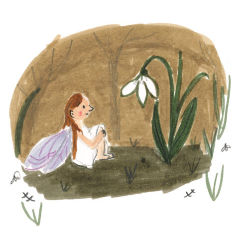 Winter Fairy and Snowdrop Lucy Dillamore Illustration